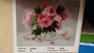 IMG-20181013-WA0004.jpg