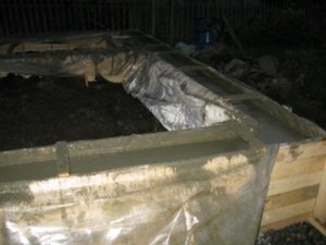 IMG_1661!.JPG