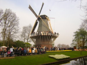 249.JPG