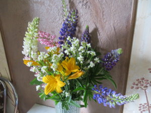 IMG_9855.JPG