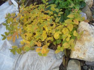 2018.10.23_ CIMG3405.JPG