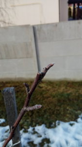 IMG_20190305_150922.jpg