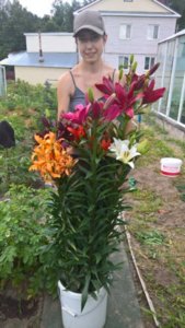 WP_20180713_11_52_10_Rich_LI.jpg