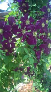 WP_20180716_10_08_59_Rich_LI.jpg