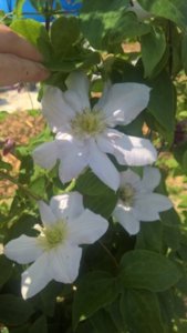 WP_20180716_10_08_20_Rich_LI.jpg