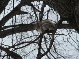 IMG_9209.JPG