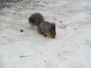 IMG_9228.JPG