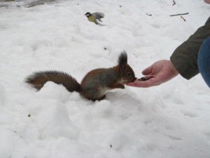 IMG_9203.JPG