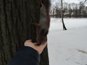 IMG_9204.JPG