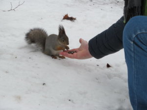 IMG_9218.JPG