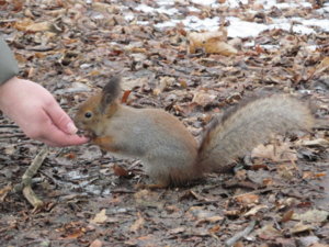 IMG_9248.JPG