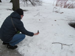 IMG_9212.JPG