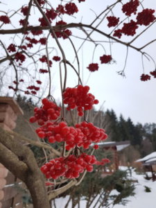 20190303_181831.jpg