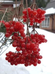 20190303_181738.jpg