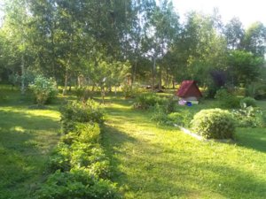 IMG_20180717_175703.jpg