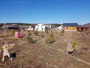 20190324_113302.jpg