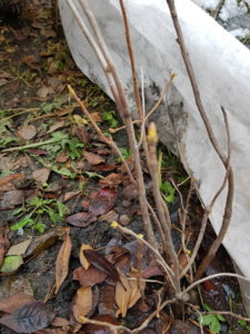 20190328_172607.jpg