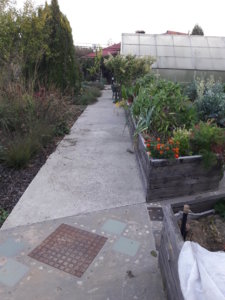 20180921_064648.jpg