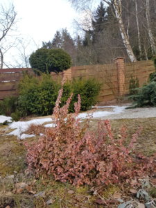 20190327_185014.jpg