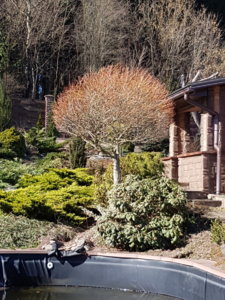 20190401_110507.jpg