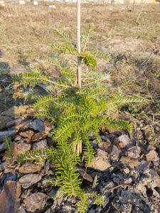 20190406_173434.jpg