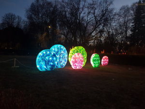 20190319_194938.jpg