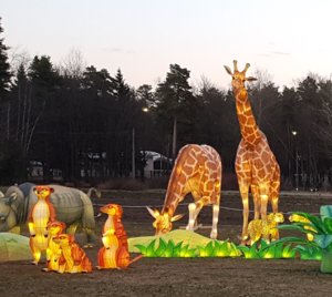 20190408_010053.jpg