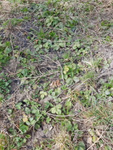 20190420_131433.jpg