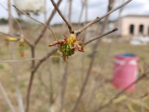 20190420_131716.jpg