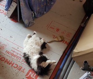 20190420_175403.jpg