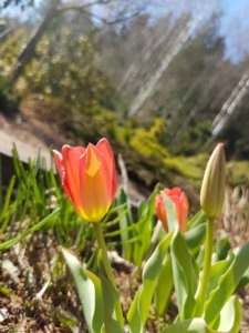 20190419_102756.jpg
