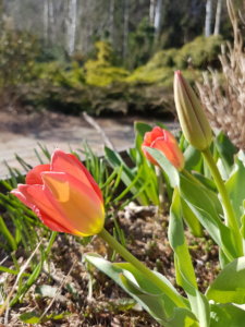 20190419_102718.jpg