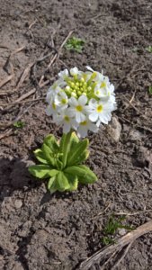 WP_20190426_11_03_31_Pro_LI.jpg