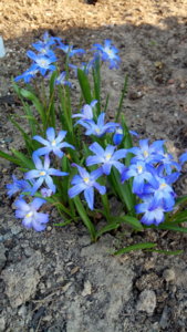 IMG_20190424_174456.jpg