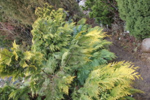 IMG_7758.JPG