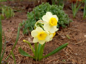 IMG_20190505_125607.jpg