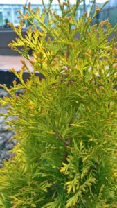 WP_20190506_12_23_25_Pro_LI.jpg