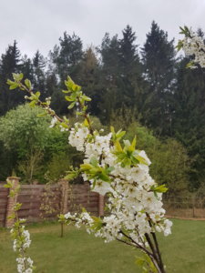20190505_085509.jpg