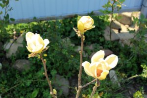 IMG_7623.JPG