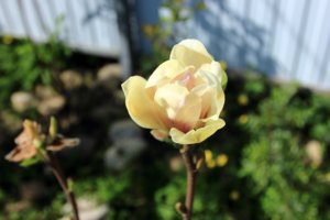 IMG_7625.JPG