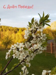 20190509_112218.jpg