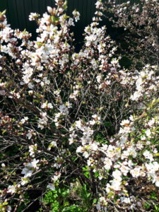 20190509_134009.jpg