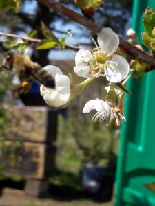 20190509_133658.jpg