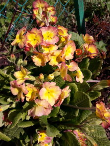 20190509_133948.jpg