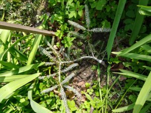 IMG_20190512_101256.jpg