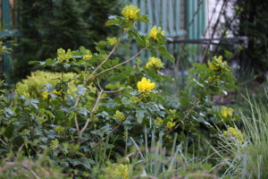 IMG_5122.JPG