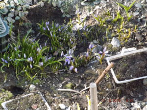 2019.04.17 _  DSCF3273.JPG