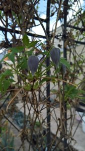 WP_20190514_14_06_48_Pro_LI.jpg