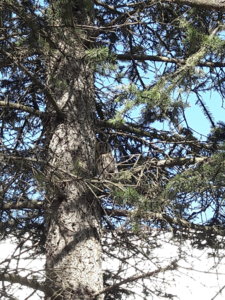 20190515_093755.jpg