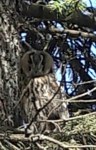20190515_093913.jpg